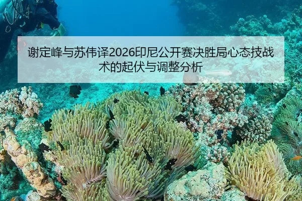 谢定峰与苏伟译2026印尼公开赛决胜局心态技战术的起伏与调整分析