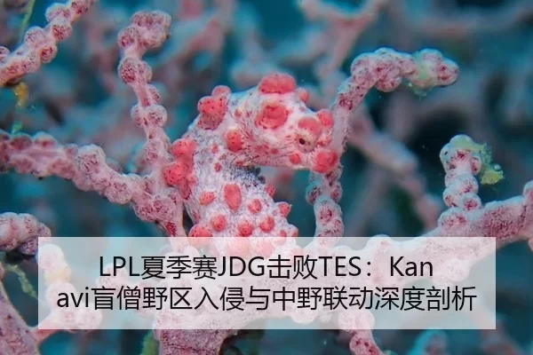LPL夏季赛JDG击败TES：Kanavi盲僧野区入侵与中野联动深度剖析